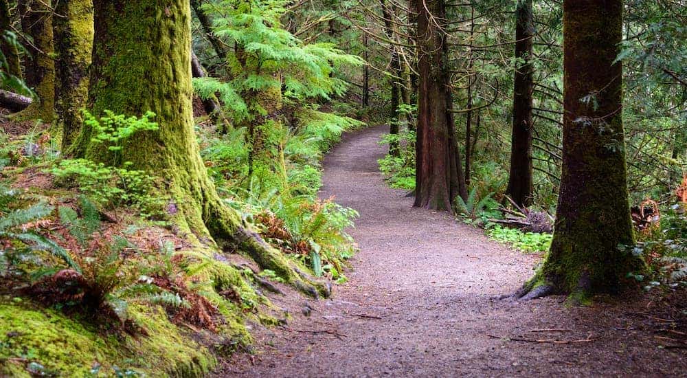 10 Local Hiking Spots In the Clifton Park Area DePaula Chevrolet