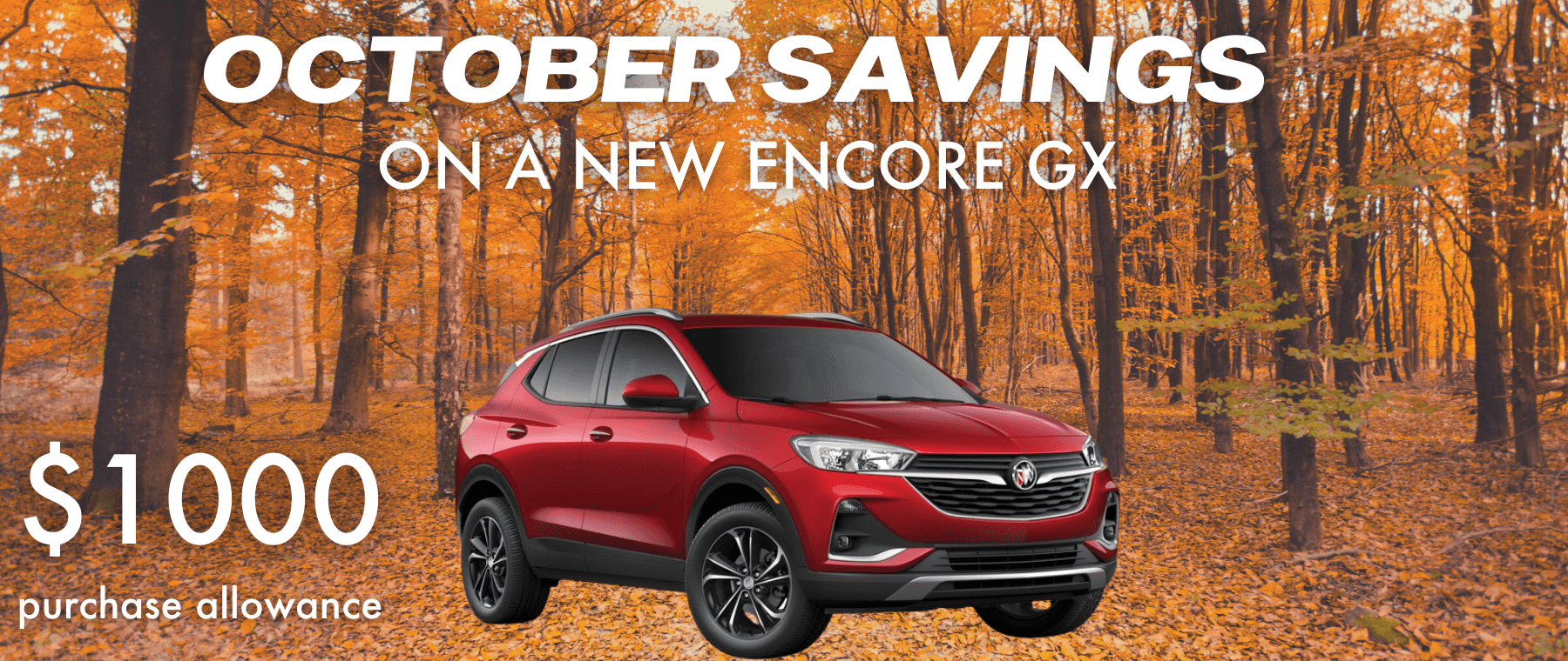 oct encore gx web