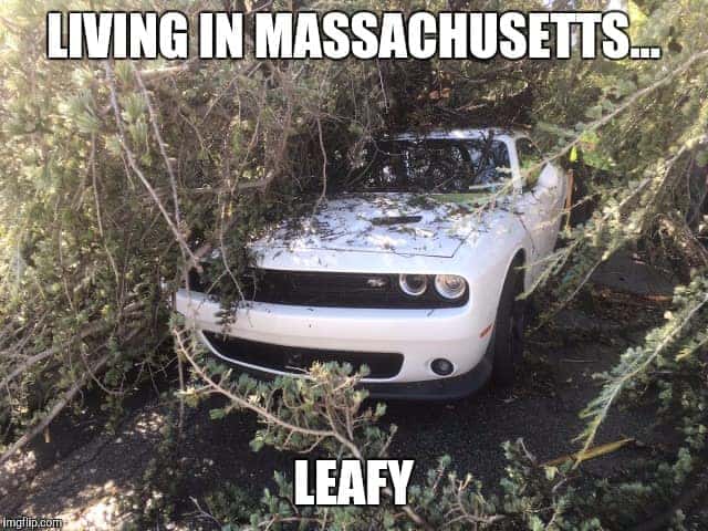 Vehilce damage from a storm