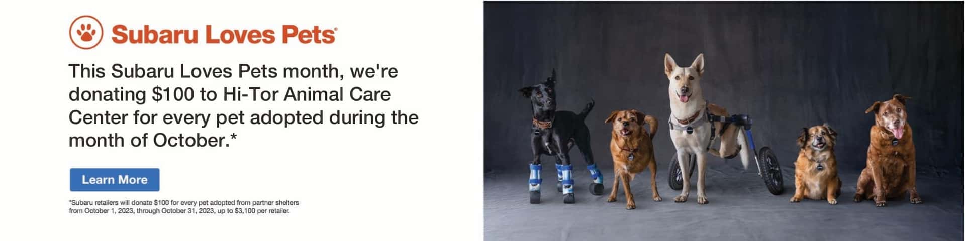 Subaru Loves Pets. Learn More button. Five dogs in a line