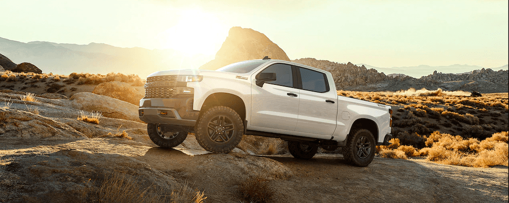 2019 Chevrolet Silverado 1500 Body Styles Cox Chevrolet