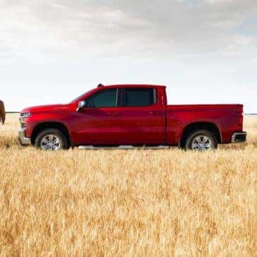2020 Chevrolet Silverado 1500 Side Profile Exterior
