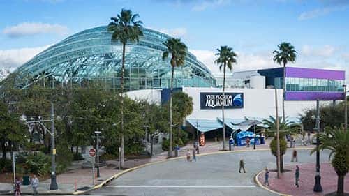 Florida Aquarium