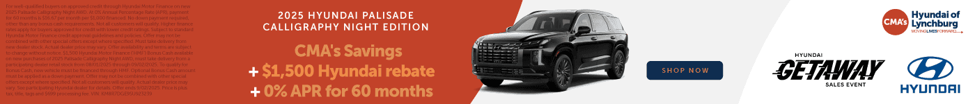 CMA_0825_Hyundai_LHY_Palisade_1400x150