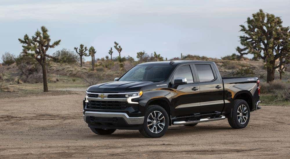 A black 2022 Chevy Silverado 1500 LT parked in the desert near Joshua trees