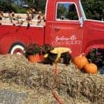 Lake City FallFest