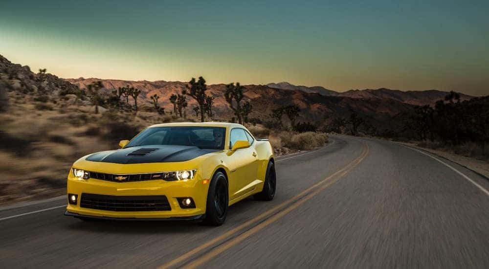 Yellow and black 2015 Chevrolet Camaro driving down a paved road past tall mountains and plants