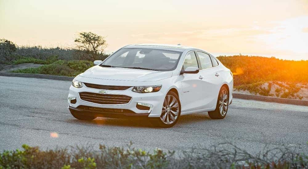 White 2016 Chevrolet Malibu parked across a paved road in front of grassy hills