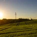 Windmills on green hills in front of trees and a sunset