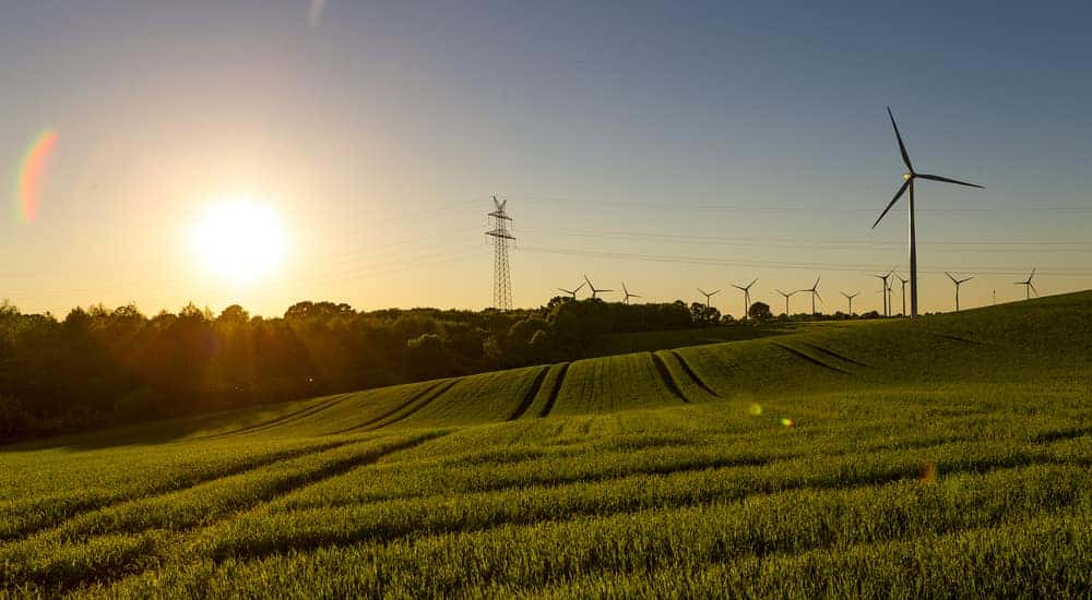 Windmills on green hills in front of trees and a sunset