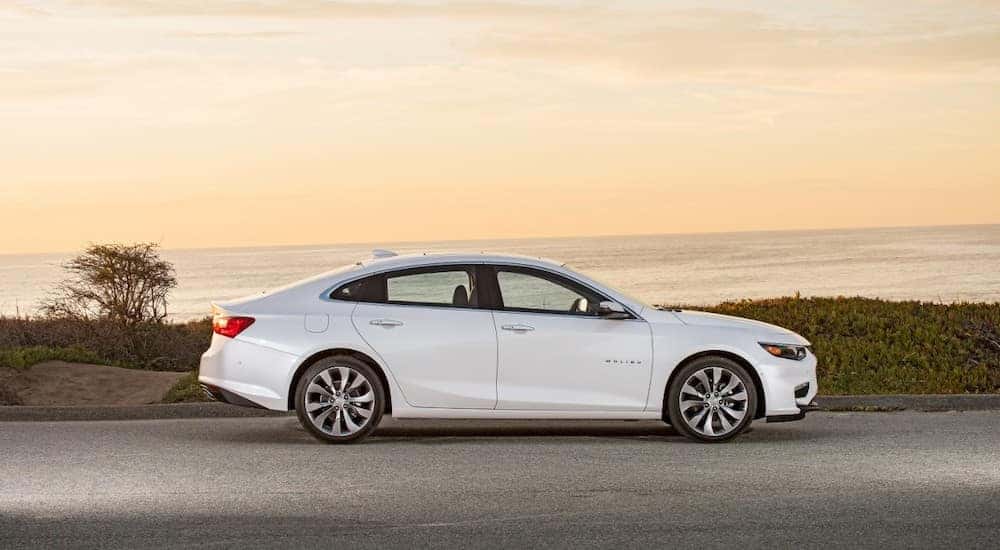 White 2016 Chevrolet Malibu parked on the side of a paved road in front of a large body of water