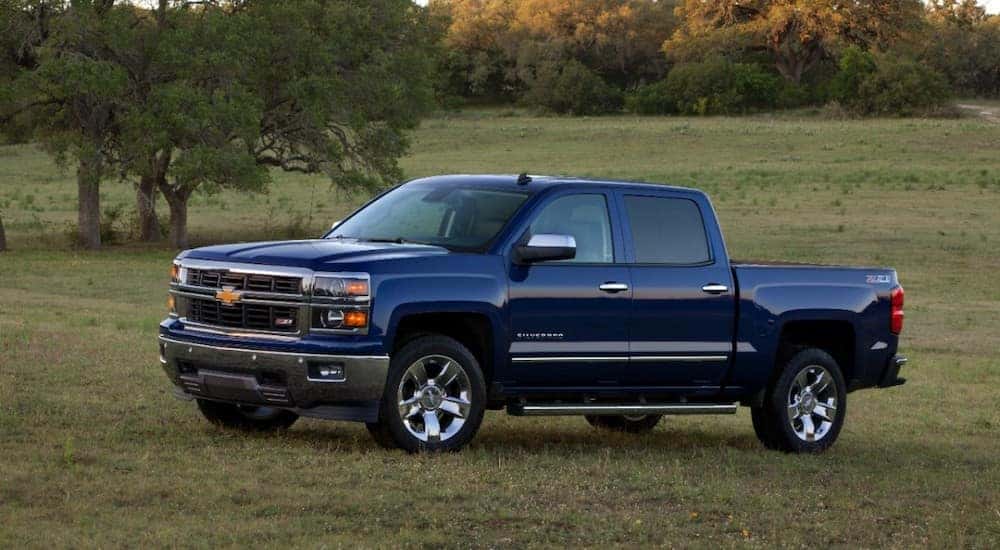 Blue 2014 Chevrolet Silverado pickup truck parked in a grass field in front of green trees