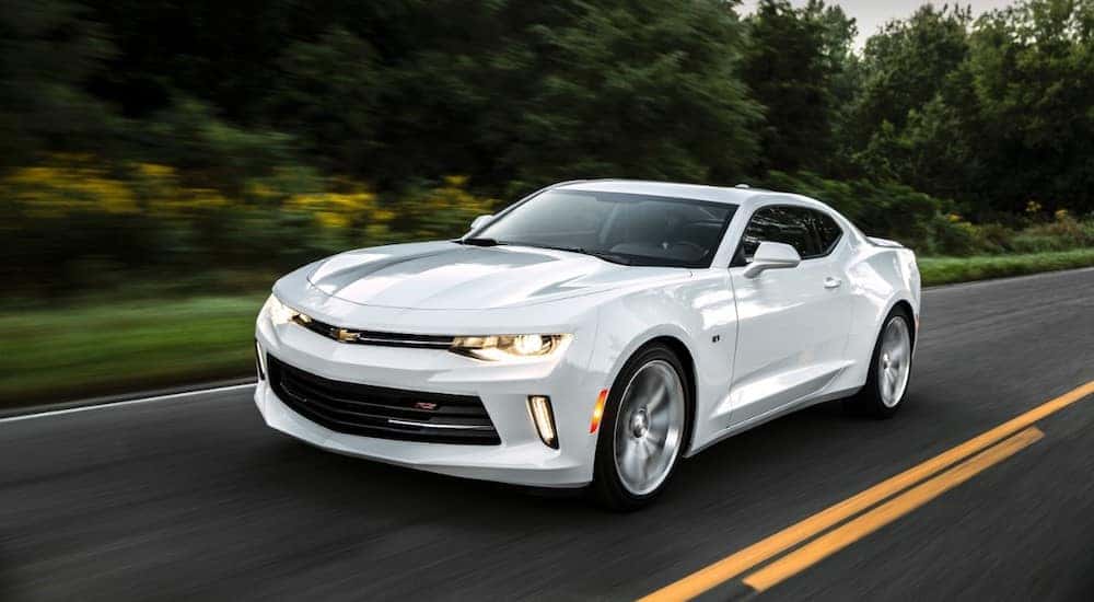 White 2016 Chevrolet Camaro performance vehicle driving on a paved road next to tall, dark green trees