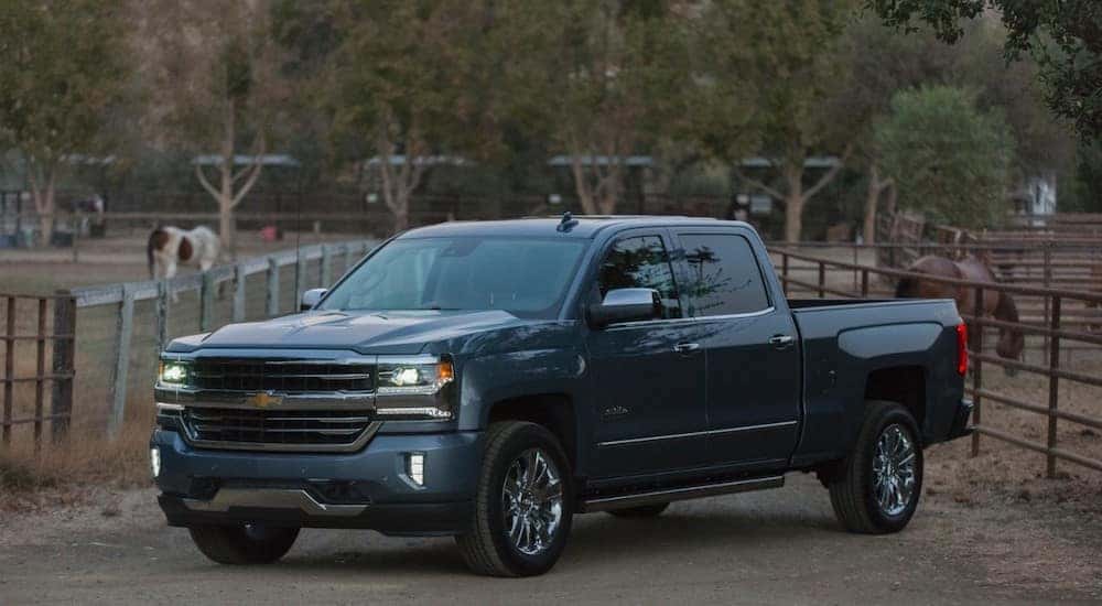 Blue 2017 Chevrolet Silverado pickup truck parked on a dirt path between fences with horses behind them