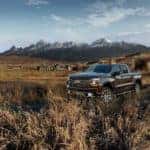 Black 2019 Chevrolet Silverado truck parked in a field of tall grass in front of tall mountains