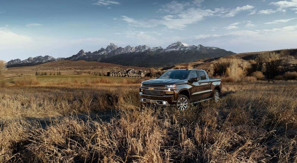 Black 2019 Chevrolet Silverado truck parked in a field of tall grass in front of tall mountains