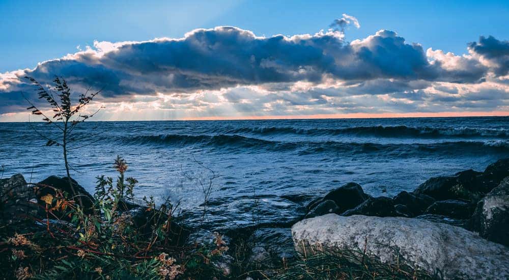 Rocks and plants in front of Lake Erie