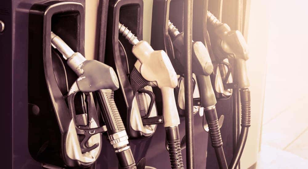 Black and white of four gas pumps at the gas station