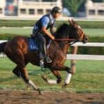 Man riding a brown horse on a dirt path in the Saratoga Races