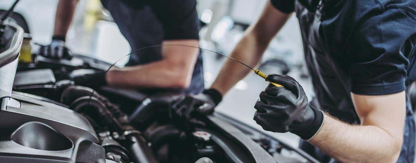 Two mechanics are checking the oil in a car.
