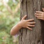A child's hands are shown wrapped around a tree.