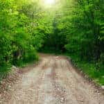 Dirt off-roading path going into the green woods