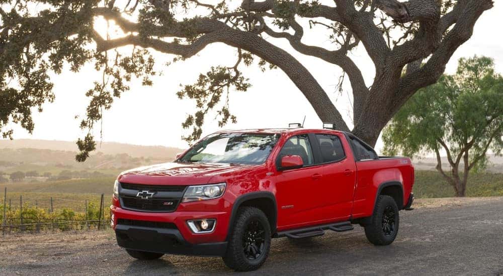 2016 Chevy Colorado Options Trucks for Sale Near Colonie, NY