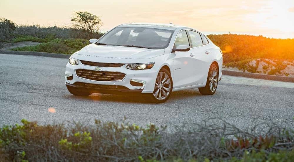 Front view of a white 2016 Chevy Malibu parked across a paved street with mountains in the background