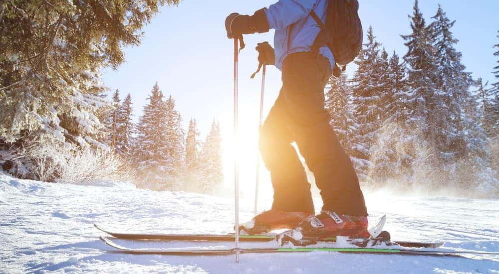 A man is shown cross country skiing with the sun rising over pine trees in the backround.