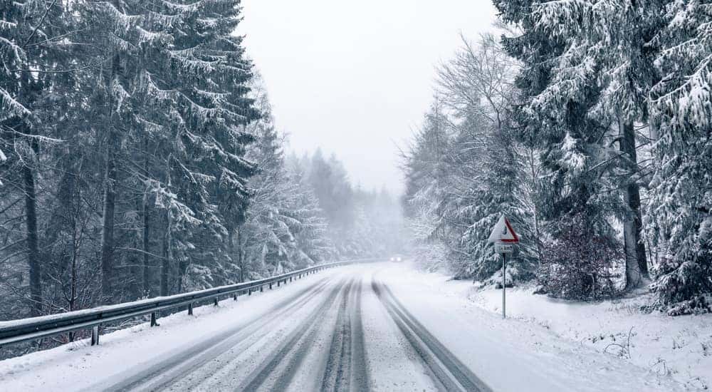 Snowy winter road next to a guardrail and tall, snow-covered trees