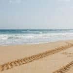 Tire tracks in the sand next to the ocean