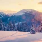 Snow covered ground in front of snow covered trees and mountains
