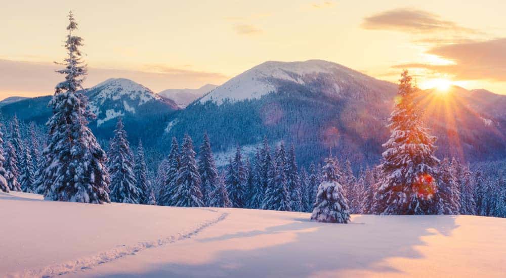 Snow covered ground in front of snow covered trees and mountains