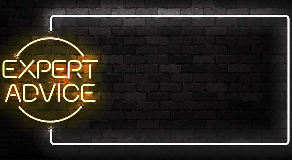 White and yellow LED sign with the words "EXPERT ADVICE" on it against a black brick wall