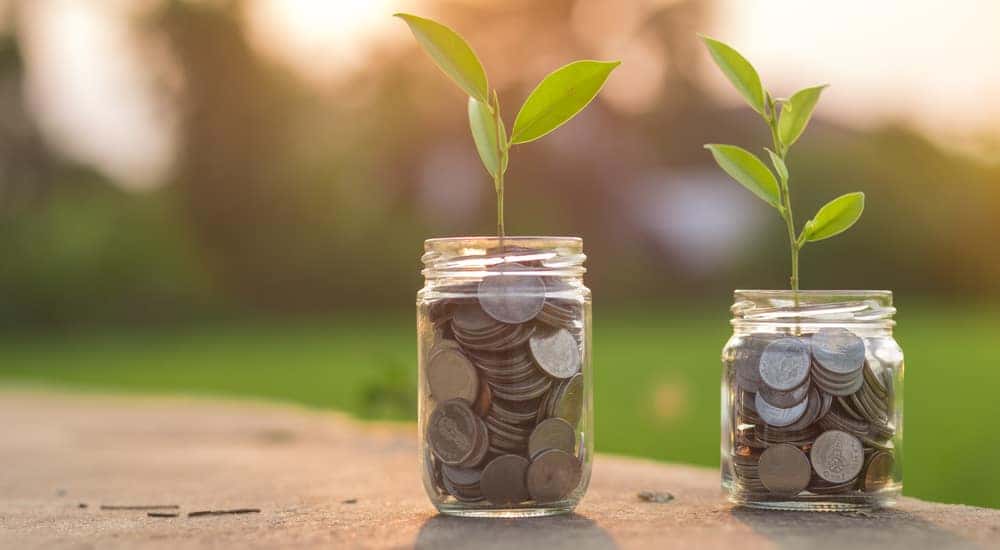 Plants growing out of two glass jars filled with coins