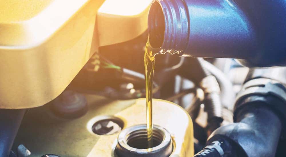 Oil being poured from a blue container into the tank under the hood of a vehicle