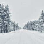 Snowy road going through tall snowy trees