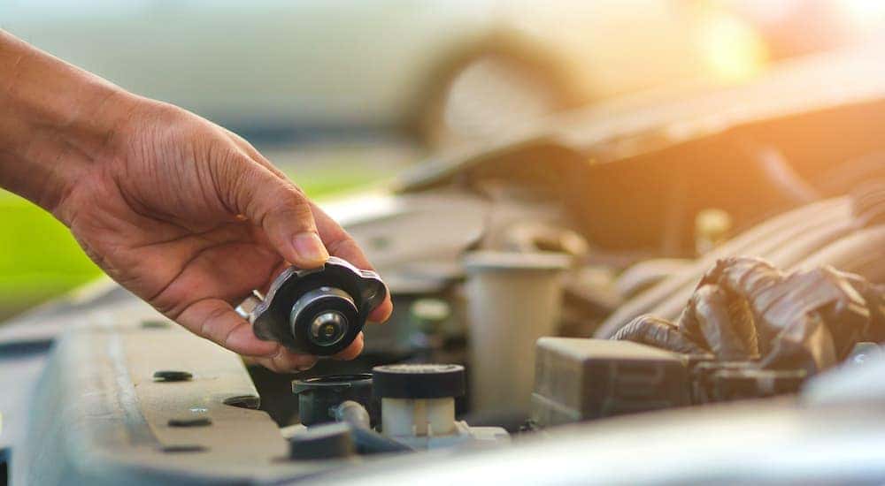 A person is inspecting the fluid level in their car.