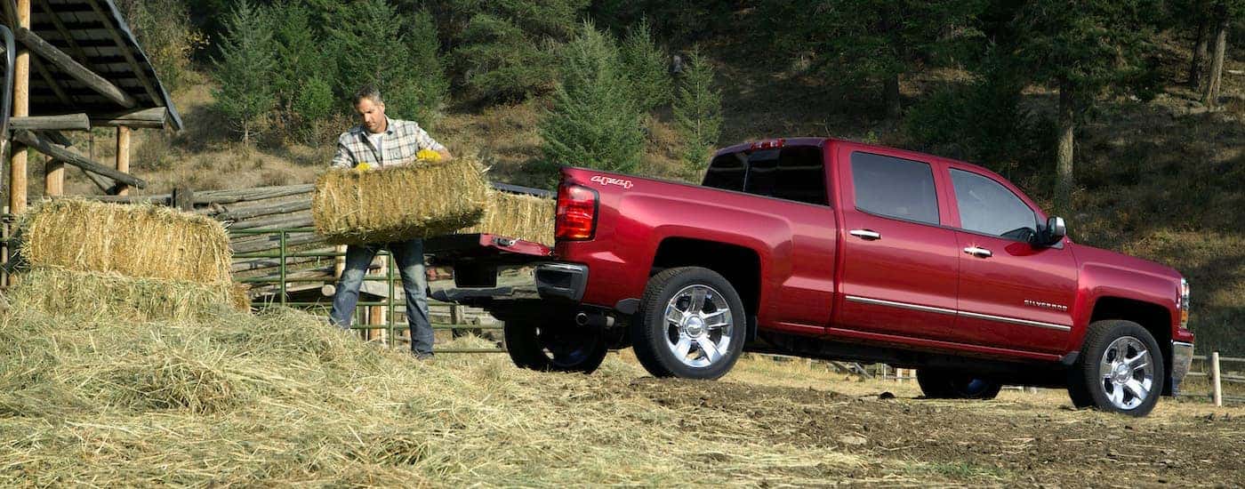 A person is shown loading hay bales into the bed of a red 2014 Chevy Silverado 1500 LTZ.