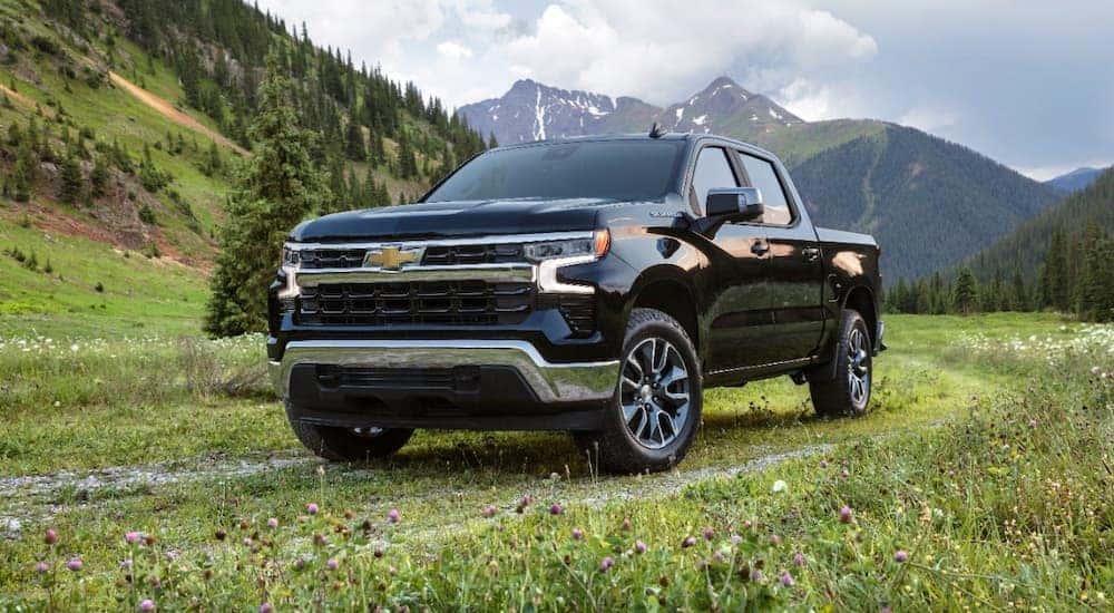 A black 2022 Chevy Silverado LT is shown parked in a grassy field after visiting an Albany Chevy Silverado dealer.