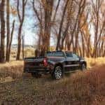 A black 2019 Chevy Silverado 1500 is shown parked in a field in front of a row of trees.