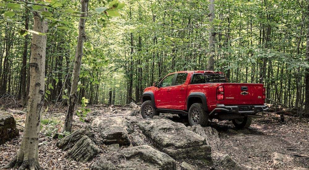A red 2019 Chevy Colorado ZR2 Bison is shown from the rear parked in the woods.