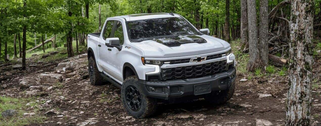A white and black 2024 Chevy Silverado 1500 ZR2 Bison is shown off-roading on a forest trail.