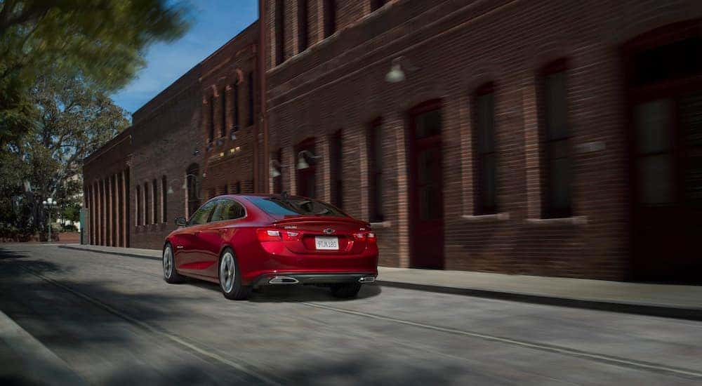 A red 2019 Chevy Malibu RS is shown from the rear at an angle.