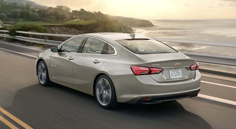 A tan 2023 Chevy Malibu driving near an ocean.