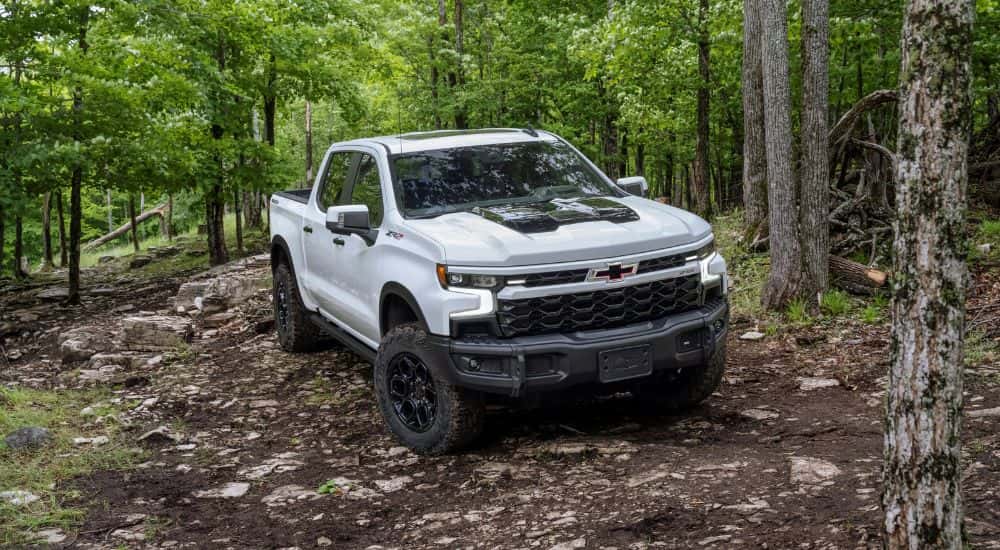 A white used 2023 Chevy Silverado 1500 ZR2 Bison off-roading on a trail
