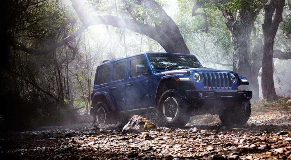 A blue 2020 Jeep Wrangler parked in a forest.