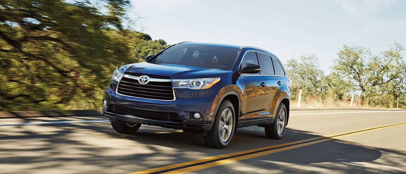 Blue Highlander