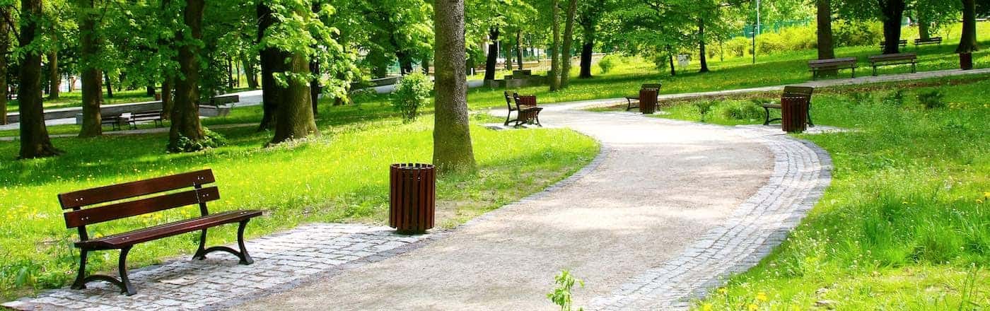 Beautiful Spring Park