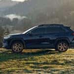 2025 Toyota RAV4 Hybrid parked on a grassy hill